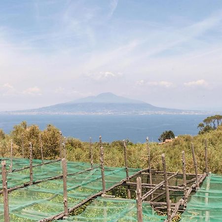 Villa La Limonaia Σορέντο Εξωτερικό φωτογραφία