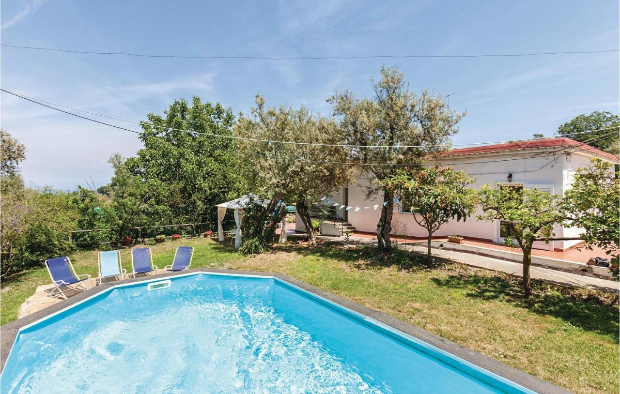 Villa La Limonaia Σορέντο Εξωτερικό φωτογραφία