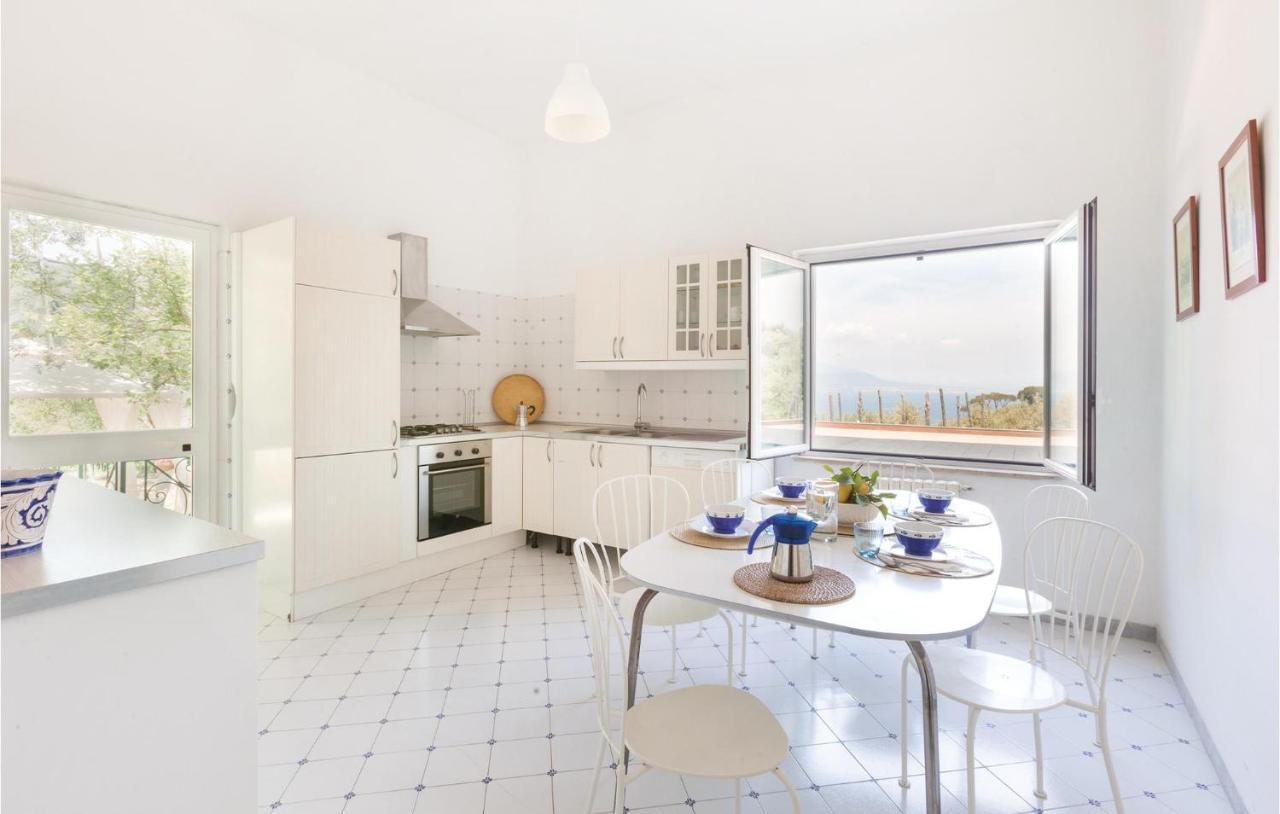 Villa La Limonaia Σορέντο Εξωτερικό φωτογραφία
