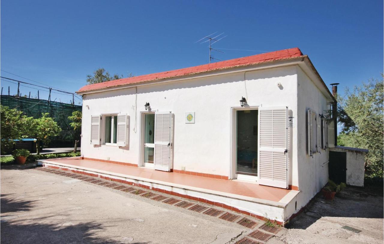 Villa La Limonaia Σορέντο Εξωτερικό φωτογραφία
